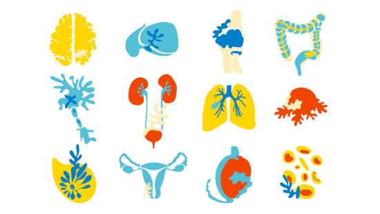 MOU meni vizual_organy